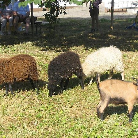 Gasthof Zur Krone Denkendorf  Εξωτερικό φωτογραφία