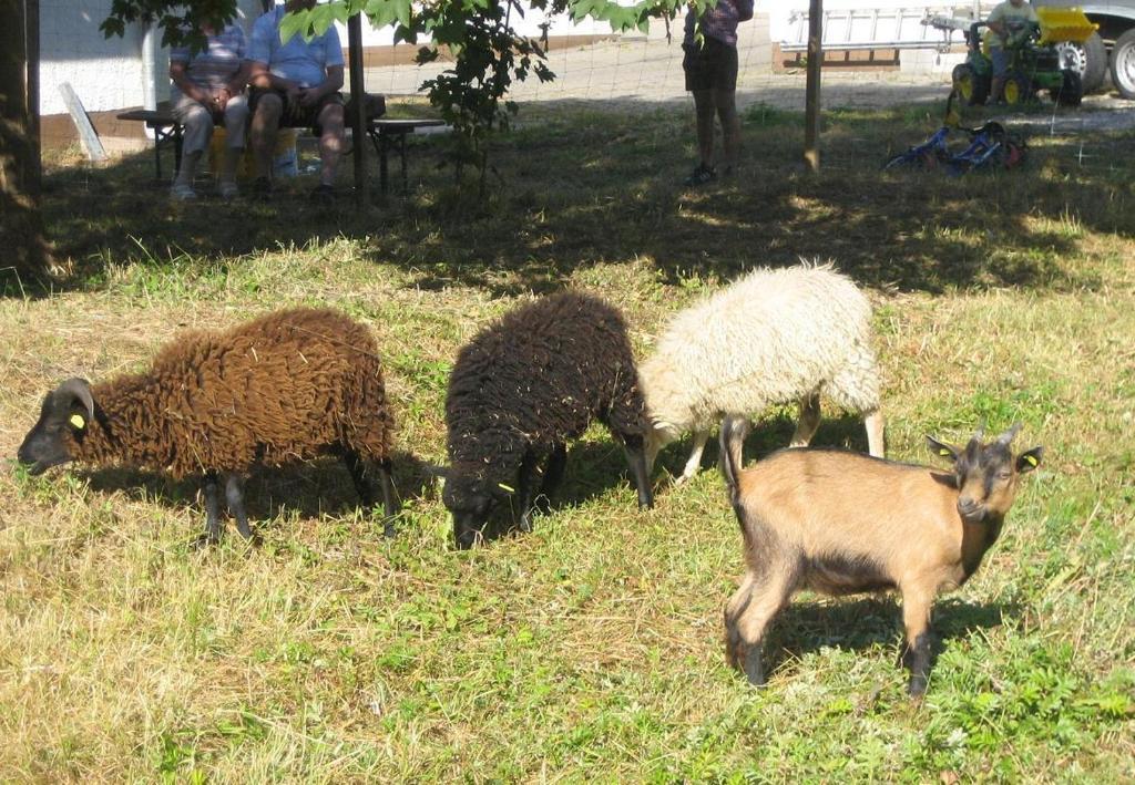 Gasthof Zur Krone Denkendorf  Εξωτερικό φωτογραφία